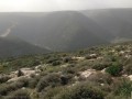أرض للبيع 51 دونوم مطلة على نهر الليطاني