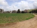 8000 meter flat land for sale in Tibnin on Aita - Bint Jbeil Round About