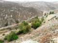 شقق سكنية فخمة, محلات ومكاتب, النبطية, كفررمان, عربصاليم, حبوش, دير الزهراني, تقسيط مباشر